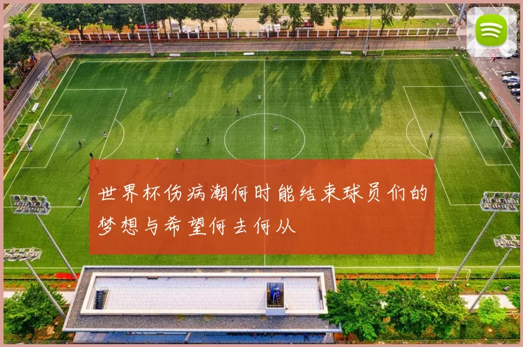 世界杯伤病潮何时能结束球员们的梦想与希望何去何从